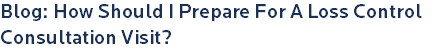 Blog: How Should I Prepare For A Loss Control Consultation Visit?