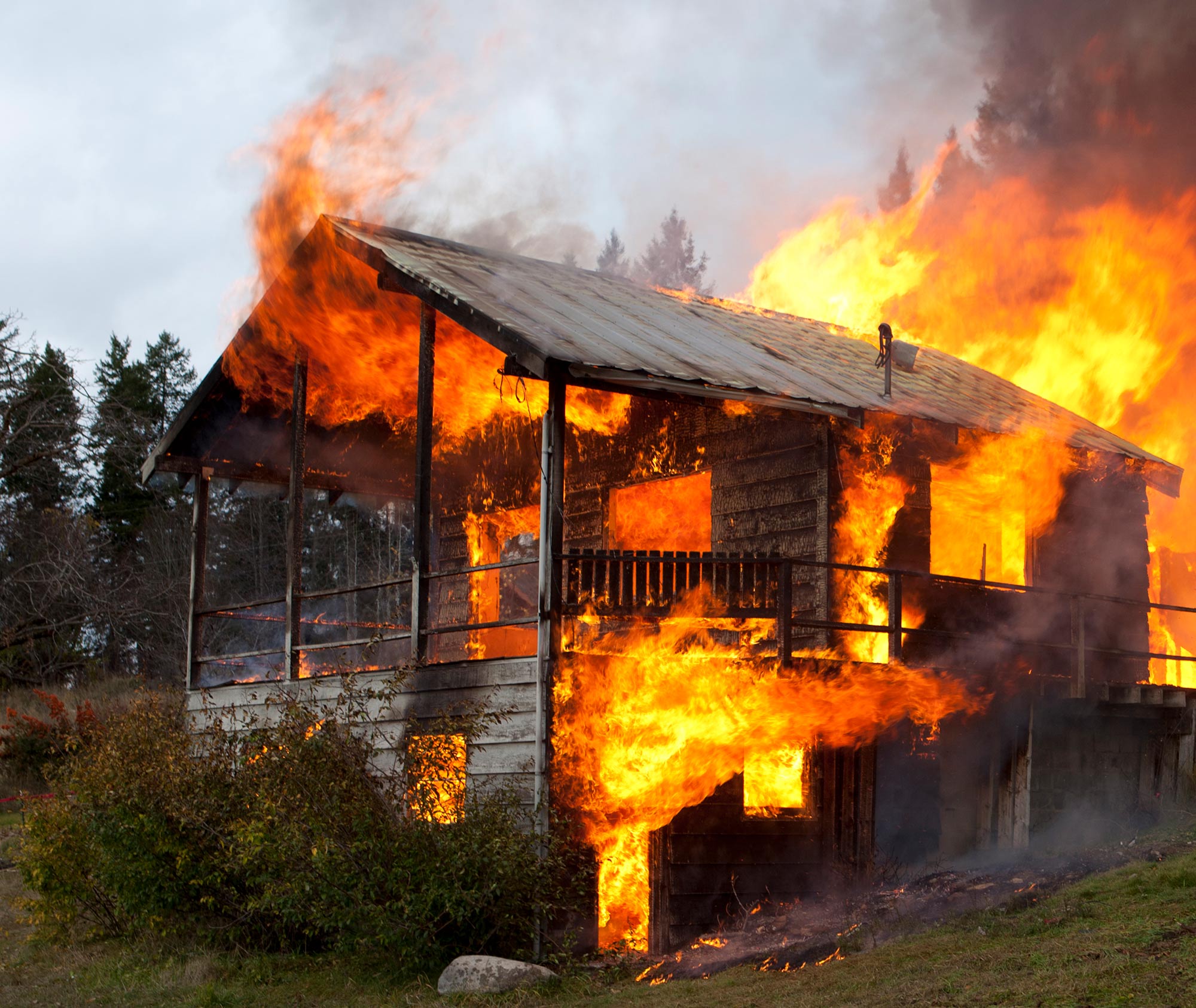 House and trees on fire.