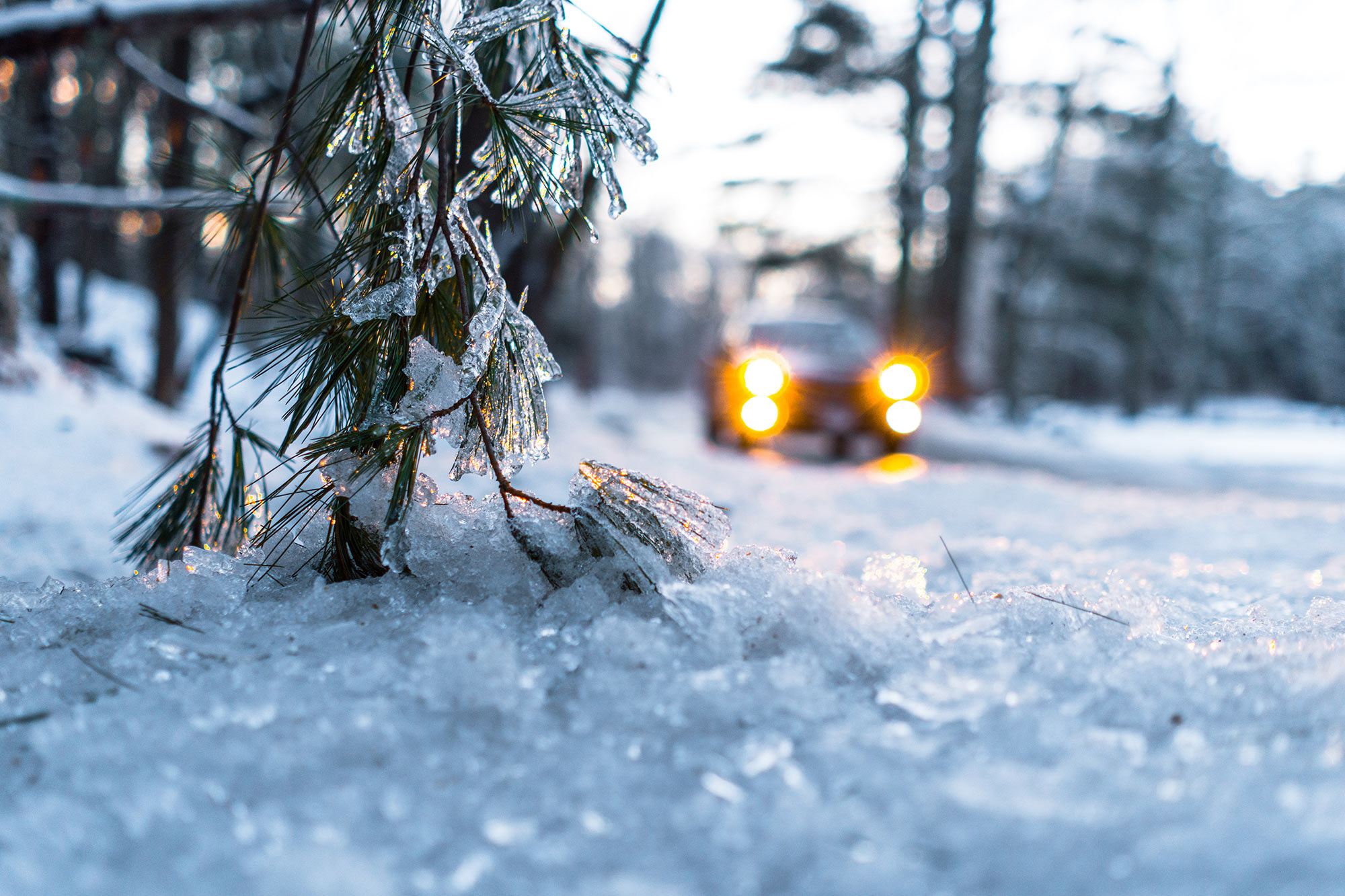 Close-up of icy winter scene with car with head lights on visable in the background.